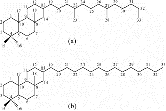 肖洪-OG-4